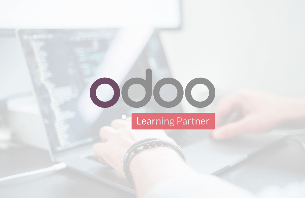 partner odoo